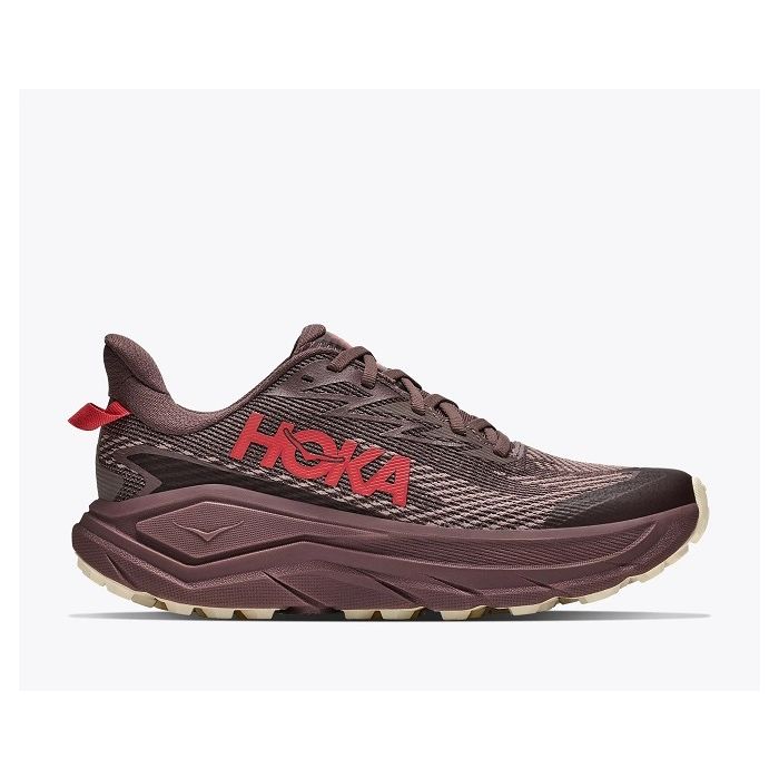 Hoka Challenger 8 GTX Damen smoky quartz