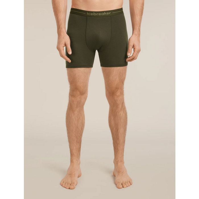 Icebreaker Anatomica Boxers Herren dark loden