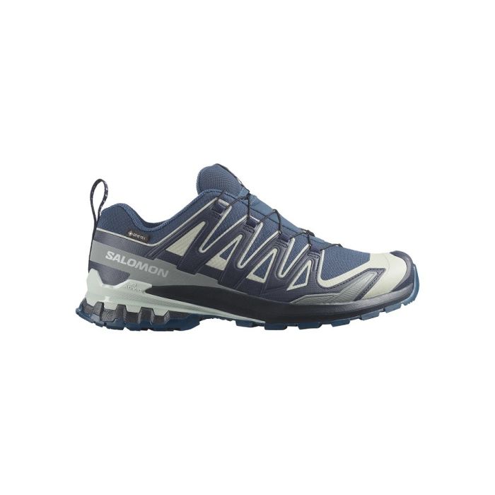Salomon XA Pro 3D V9 GTX Herren spellbound blue