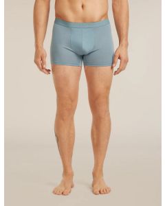 Icebreaker 125 Cool-Lite Anatomica Boxers Herren flint blue