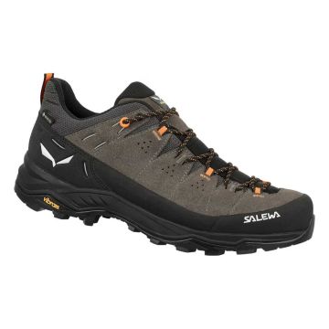 Salewa Alp Trainer 2 GTX Herren brown