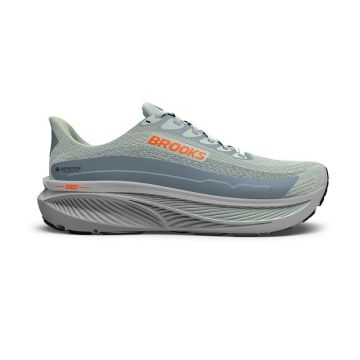 Brooks Ghost 17 GTX D Herren smoke