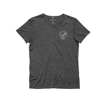 Devold Active Spring Tee Damen anthracite