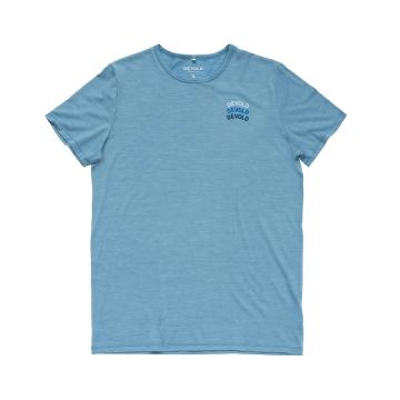 Devold Active Devold Legacy Tee Herren skyblue