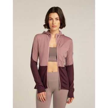 Icebreaker 200 RealFleece Descender Hoody Damen summit