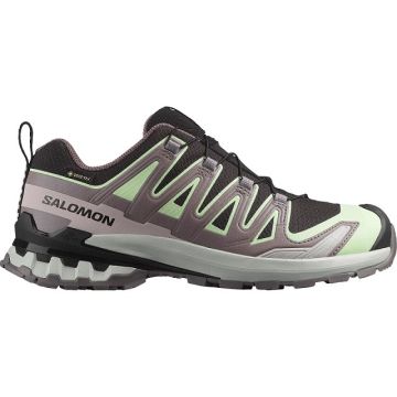Salomon XA Pro 3D V9 GTX Damen black patina