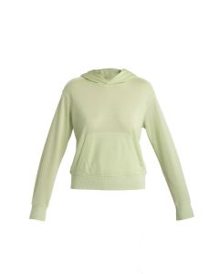 Icebreaker Crush II LS Hoodie Damen glazen