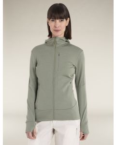 Icebreaker 260 Quantum Zip Hoodie Damen lichen