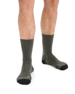 Icebreaker Hike+ Medium Crew Herren loden