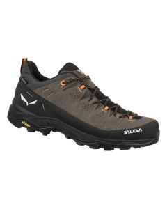 Salewa Alp Trainer 2 GTX Herren brown