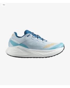 Salomon Aero Glide 3 GRVL Herren blue