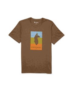 Cotopaxi Llama Block T-Shirt Herren oak