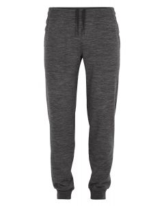 Icebreaker Shifter Pant Herren grau