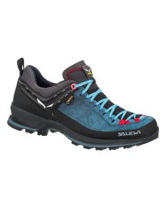 Salewa Mountain TRAINER 2 GTX Damen