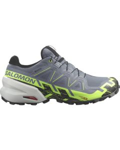 Salomon Speedcross 6 GTX Herren flint stone