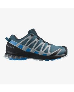 Salomon  XA PRO 3D v8 GTX Herren blau